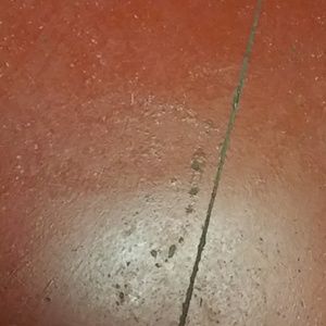 Meet your Posher, Donald